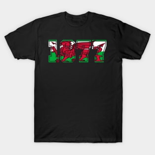 WELSH FLAG 1977 T-Shirt